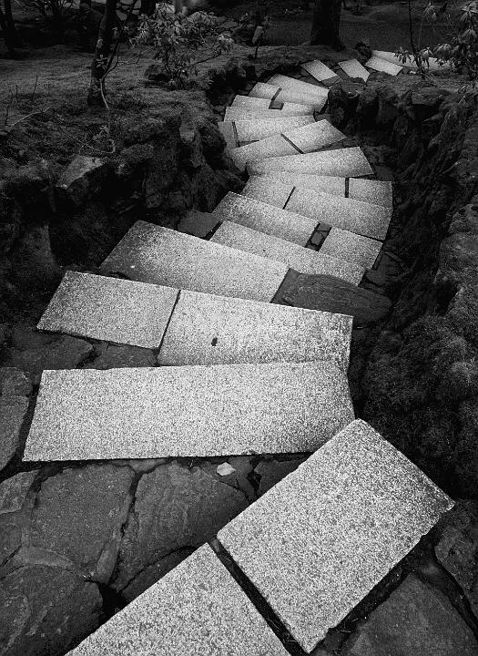 Stairs 13-8808a bw.jpg